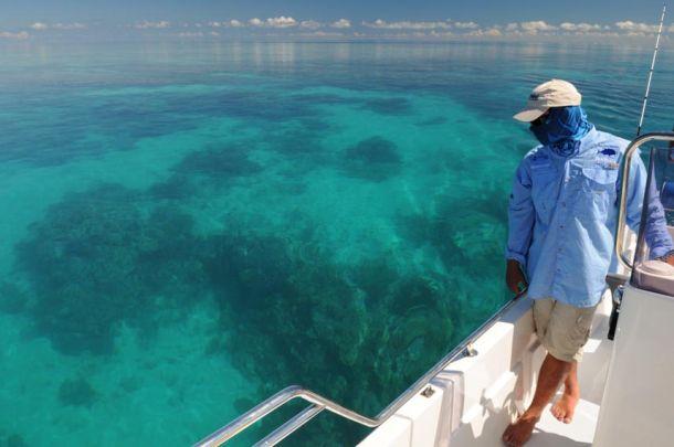 Colbeck slams Pew over oceans report